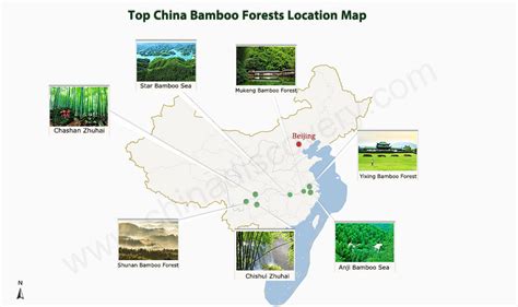 where are bamboo located in china